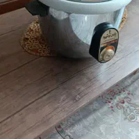 پلو پز برقی