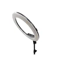 رینگ لایت حرفهای JL-F388 + سهپایه محکم|لوازم جانبی موبایل و تبلت|تربتحیدریه, آغوی|دیوار