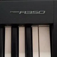 کیبورد ارگ|پیانو، کیبورد، آکاردئون|بروجن, |دیوار