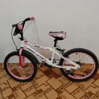 دوچرخه