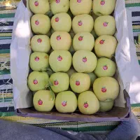 سیب درختی درجه ممتاز|خوردنی و آشامیدنی|تهران, محمودیه|دیوار