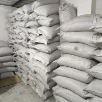 گندم بذری دیم درجه یک کم نظیر|خدمات باغبانی و درختکاری|خرم‌آباد, |دیوار