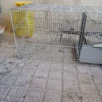 قفس گله خان