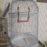 قفس سلطنتی سفید پایه ای