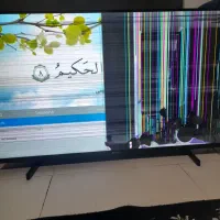 تلویزیون ۴۳ اینچ پنلش ضربه خورده