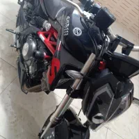 بنلی 310 فوری