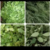 سبزی خورشتی