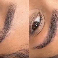 پذیرش مدل برای نانوبلیدینگ