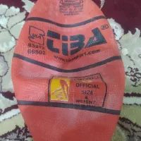 توپ بسکتبال