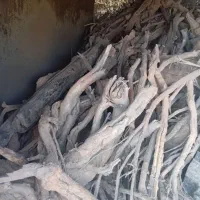 خرید و برش چوب