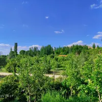 فروش باغ ویلای ۲۶۵۰ متری مهرگرد|فروش خانه و ویلا|سمیرم, |دیوار