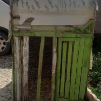 قفس کبوتر و جفتگاه