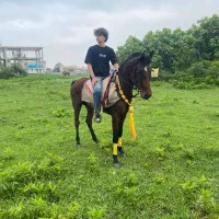 نریان چهار سال