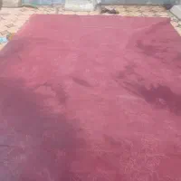 موکت