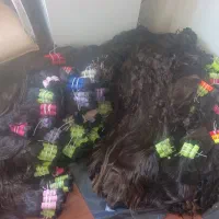 خانه ی *مو*در مریوان