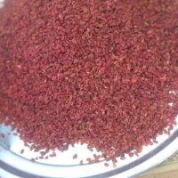 زرشک درجه یک قیمت بسیار مناسب