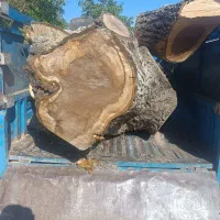 مرکز خریدوفروش «نقدی»چوب و تعمیرات انواع اره موتور