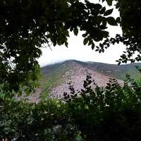 ویلا جنگلی کوهستانی|فروش خانه و ویلا|کجور, |دیوار