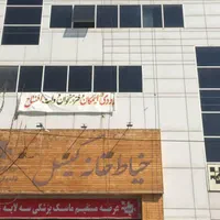 کار در ارتفاع باطناب پیچ رولپلاک آببندی شستشونما|خدمات پیشه و مهارت|زنجان, |دیوار