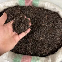 چای لاهیجان مخصوص هیئت و مراسم