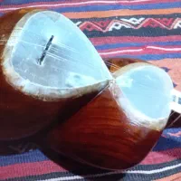 تار استاد رسولی