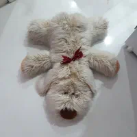 عروسک خارجی