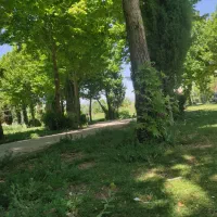 فروش زمین مسکونی مصیری کمربندی