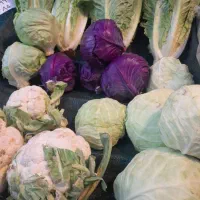 میوه باارسال رایگان در قم|خوردنی و آشامیدنی|قم, ولیعصر|دیوار