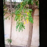 رهن و اجاره خانه ویلایی ۱۷۰ متری در خیابان سروش