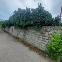 فروش فوری قطعه زمین ۲۵۰ متری