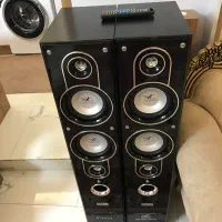 باند دوقلو kenzo