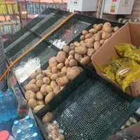 پالت میوه فروشی