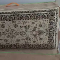 پشتی