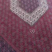 فرش|فرش|اردبیل, |دیوار