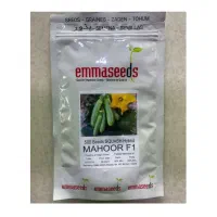 بهترین رقم های کدو خورشتی خارجی|حراج|جیرفت, |دیوار