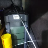 اکواریوم اب شیرین|ماهی|فردیس, فرامرزیه|دیوار