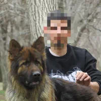 سگ ژرمن شپرد