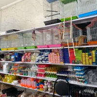 تمام لوازم و دان پرنده به قیمت عمده