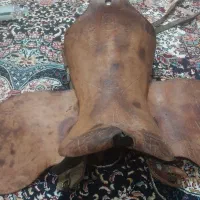 زین اسب