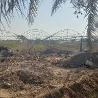 سه هزار متر گلخانه در جنگل اباد به اجاره داده م