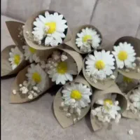 گیفتهای بابونه
