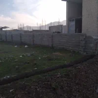 زمین-مسکونی-خیابان-جنگلده