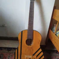 گیتار کارکرده