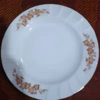 میوه خوری گل پاییزی