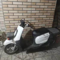 پاگشتی باری