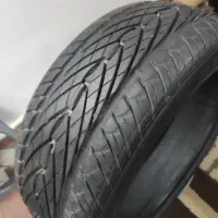 لاستیک تک درحت نو99 درصد