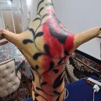 فروش ساز (نی انبان) دسته (تیز و بم) ب شرط|سازهای بادی|فولادشهر, C5|دیوار