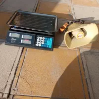 بلنگو ولاسکو محک