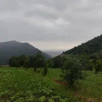 اجاره-باغ-ویلا