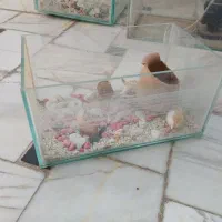 ۳ اکواریم . فروش فوری